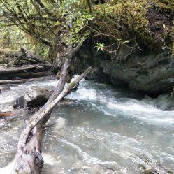 身家上亿的老板归隐终南山，出家10年后，面对家人：形同陌路
